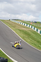 Lower Group Yellow Bikes